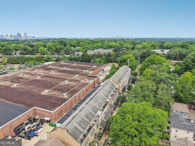 190 Marion Pl NE, Atlanta, GA 30307 - bird's eye view of skyline