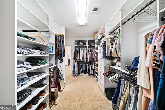 622 Rocky Creek Pt, Woodstock, GA 30188 - walk in closet featuring carpet floors