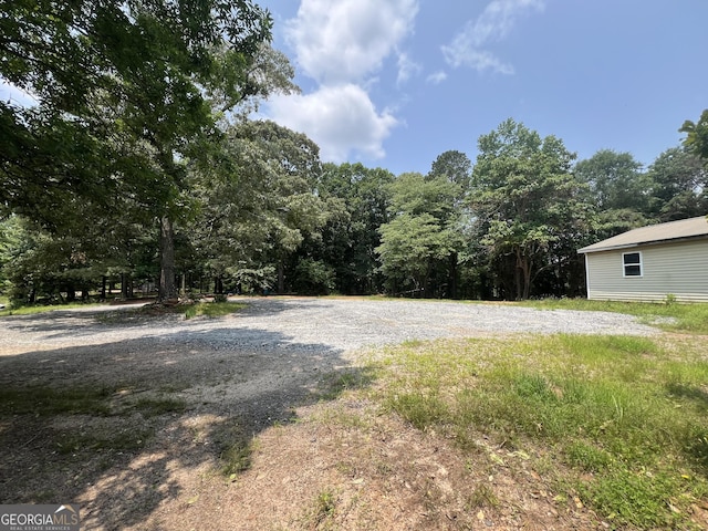 60 Coltrane Rd, Dawsonville, GA 30534 - view of yard with a view of trees