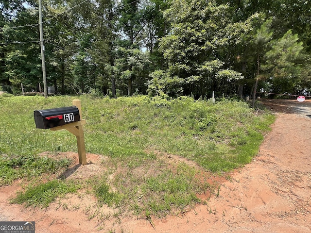 60 Coltrane Rd, Dawsonville, GA 30534 - exterior view