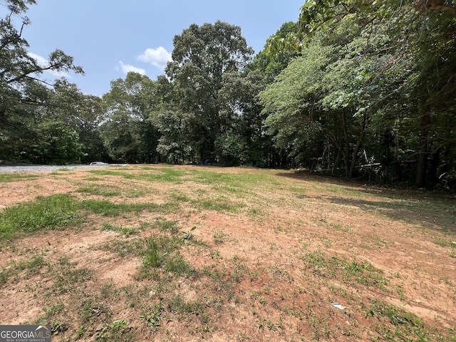 60 Coltrane Rd, Dawsonville, GA 30534 - view of yard featuring a forest view