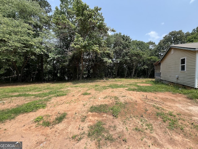 60 Coltrane Rd, Dawsonville, GA 30534 - view of yard