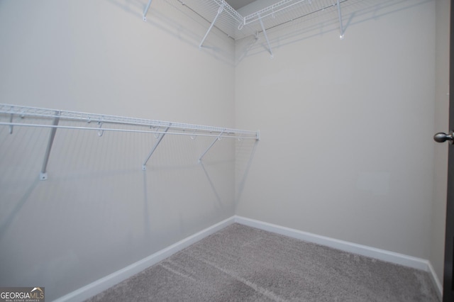 309 Dean Ct, Temple, GA 30179 - spacious closet with carpet