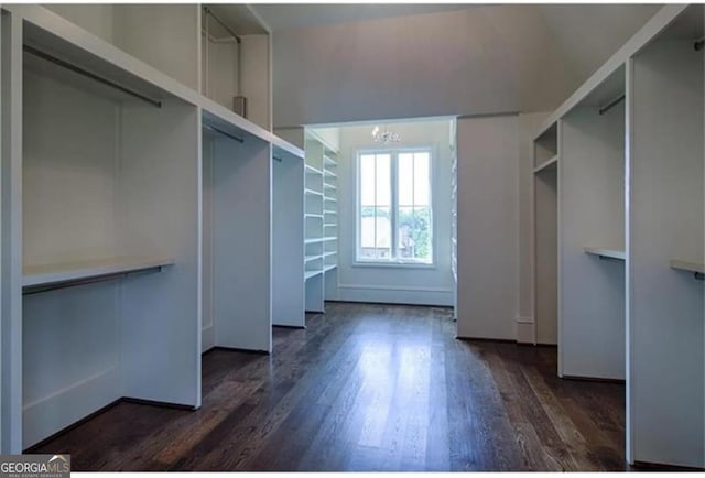 3084 Watsons Bnd, Milton, GA 30004 - walk in closet with wood finished floors and a chandelier