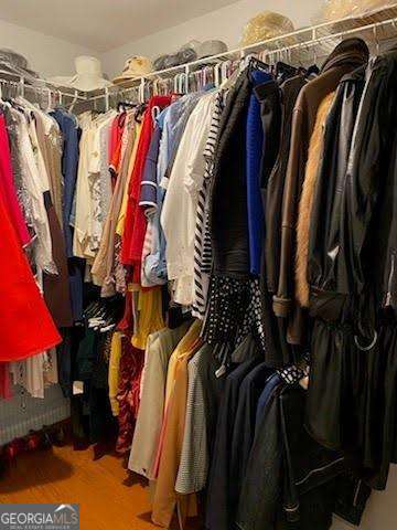 3224 Wolf Club Ln SW, Atlanta, GA 30349 - view of spacious closet