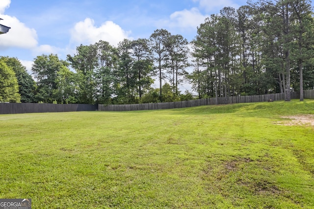 830 Tom Miller Rd, Bethlehem, GA 30620 - view of yard