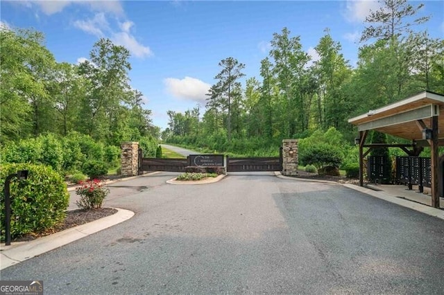 103 Jackson Ridge Dr, Monticello, GA 31064 - view of gate