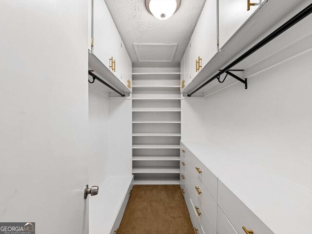 30 Court S, Ellenwood, GA 30294 - spacious closet with dark colored carpet
