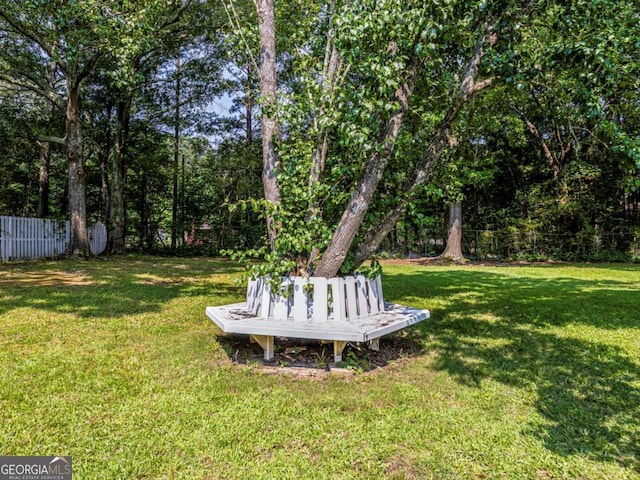 30 Court S, Ellenwood, GA 30294 - view of yard