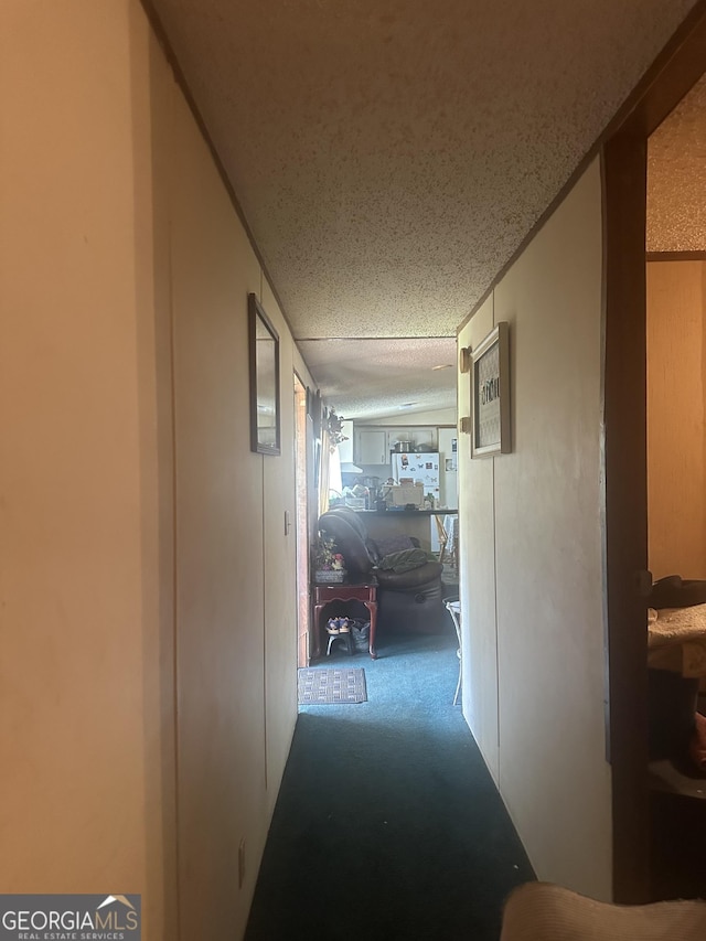 94 Payne Ln, Carnesville, GA 30521 - corridor featuring carpet floors and a textured ceiling