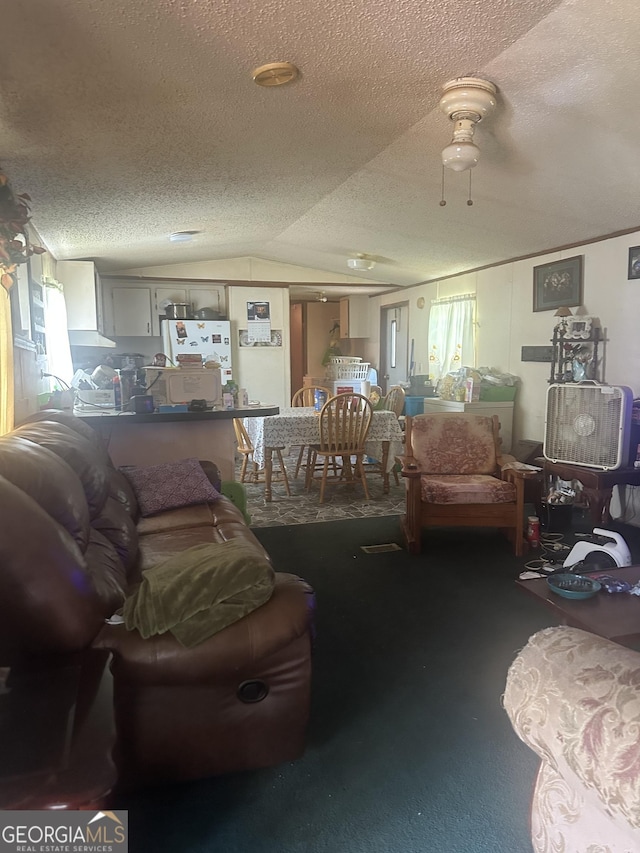 94 Payne Ln, Carnesville, GA 30521 - carpeted living room with a textured ceiling, vaulted ceiling, and ceiling fan