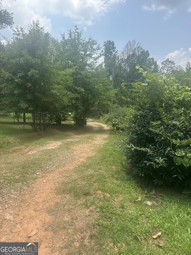 94 Payne Ln, Carnesville, GA 30521 - view of yard