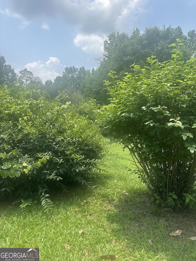 94 Payne Ln, Carnesville, GA 30521 - view of nature