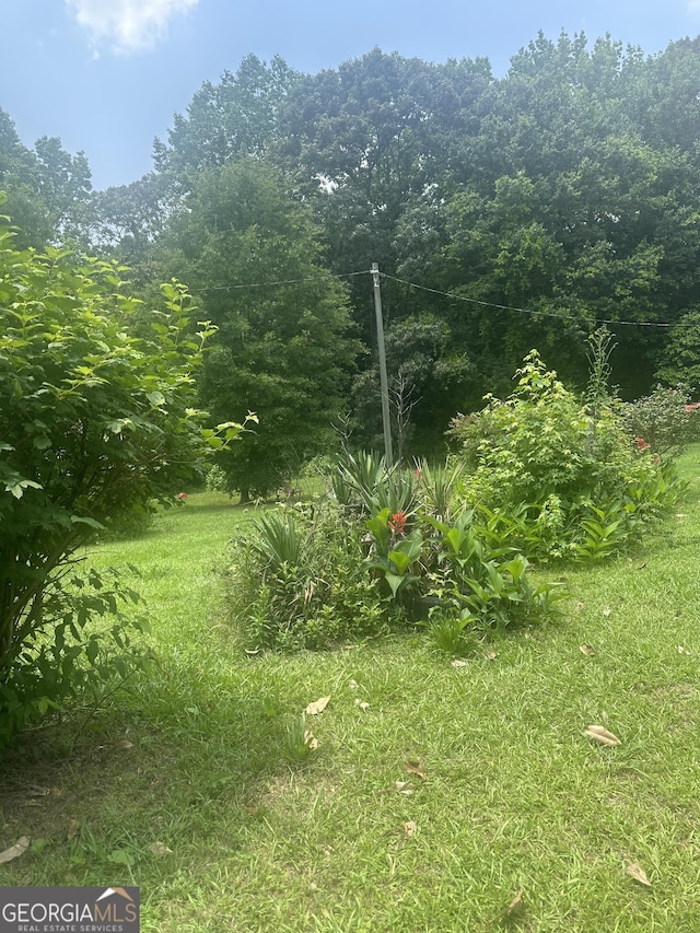 94 Payne Ln, Carnesville, GA 30521 - view of yard