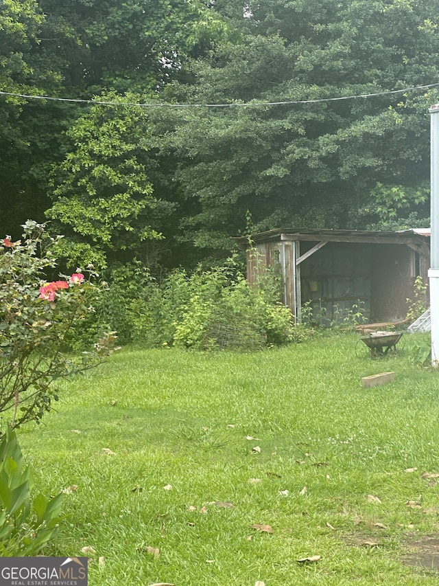 94 Payne Ln, Carnesville, GA 30521 - view of grassy yard