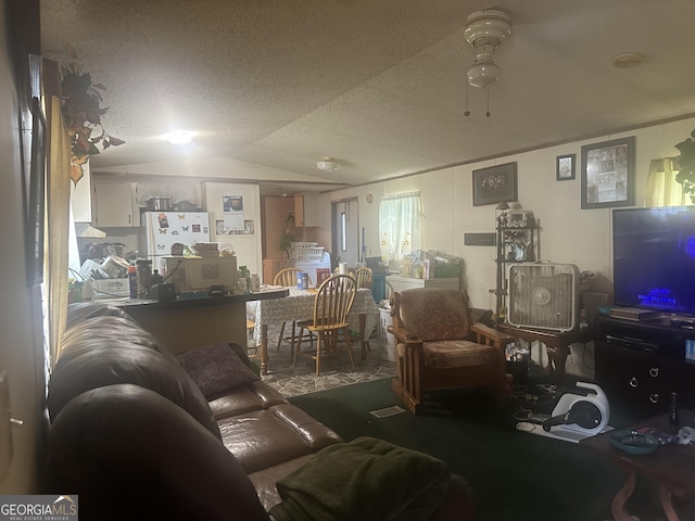 94 Payne Ln, Carnesville, GA 30521 - living area with vaulted ceiling, a textured ceiling, and ceiling fan