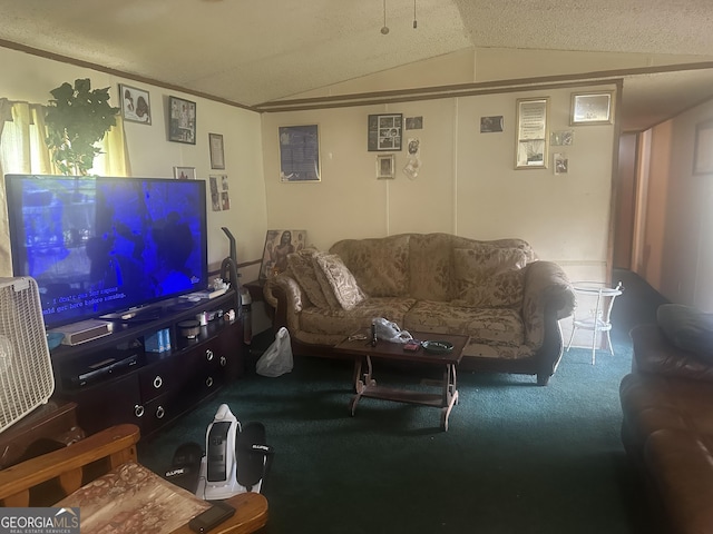 94 Payne Ln, Carnesville, GA 30521 - carpeted living room with vaulted ceiling and a textured ceiling