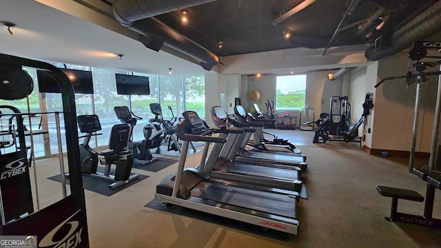 3300 Windy Ridge Pkwy SE, Atlanta, GA 30339 - exercise room with carpet flooring