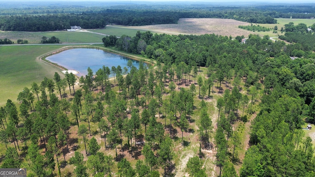 1400 Blackshear Ferry Rd W, Dublin, GA 31021