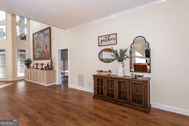 33 T J Mote Rd, Dahlonega, GA 30533 - living room with ornamental molding, baseboards, dark wood-style flooring, and plenty of natural light