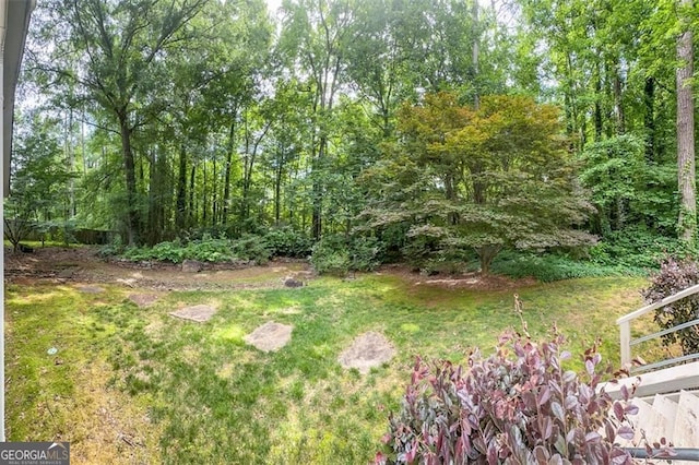 4766 Jamerson Forest Cir, Marietta, GA 30066 - view of yard