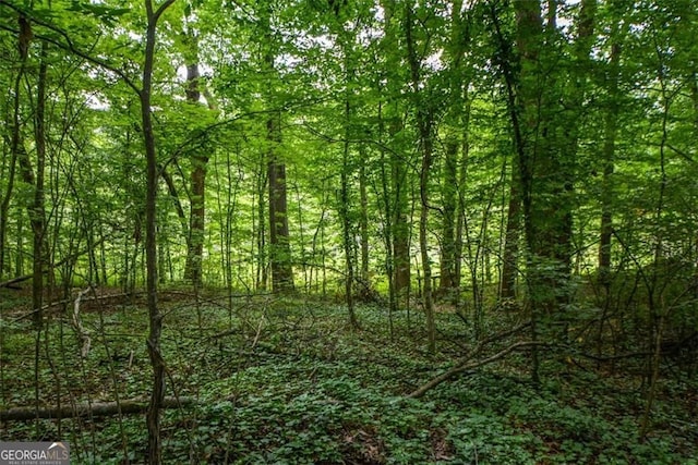 4766 Jamerson Forest Cir, Marietta, GA 30066 - view of woods