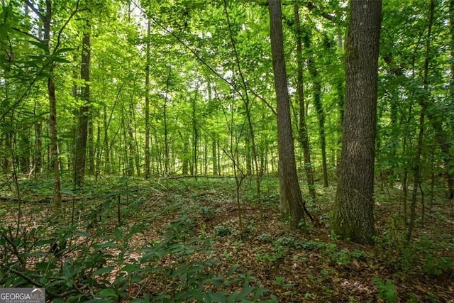 4766 Jamerson Forest Cir, Marietta, GA 30066 - view of woods