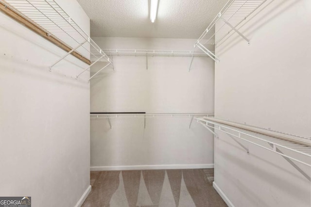 144 Nocatee Trl, Woodstock, GA 30188 - walk in closet with carpet flooring