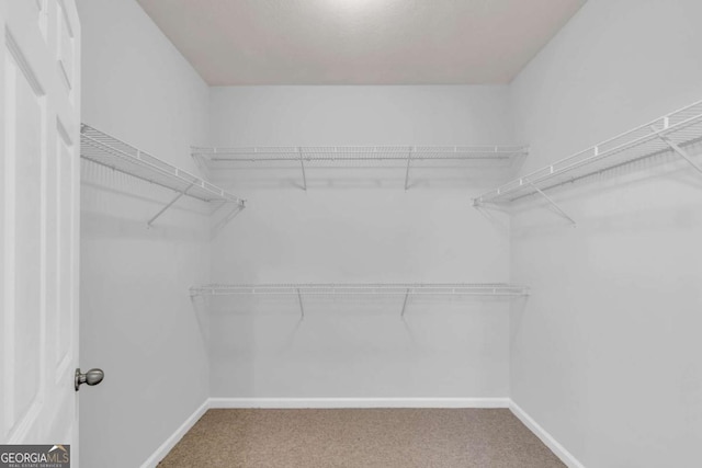 1850 Cotillion Dr Unit 3123, Atlanta, GA 30338 - walk in closet with carpet
