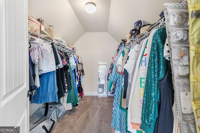 466 Sweet Apple, Buford, GA 30518 - walk in closet with carpet floors and vaulted ceiling
