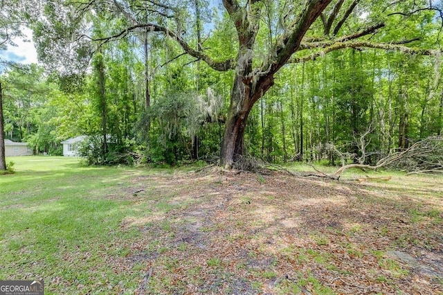 907 Magnolia Ext, Guyton, GA 31312 - view of green lawn