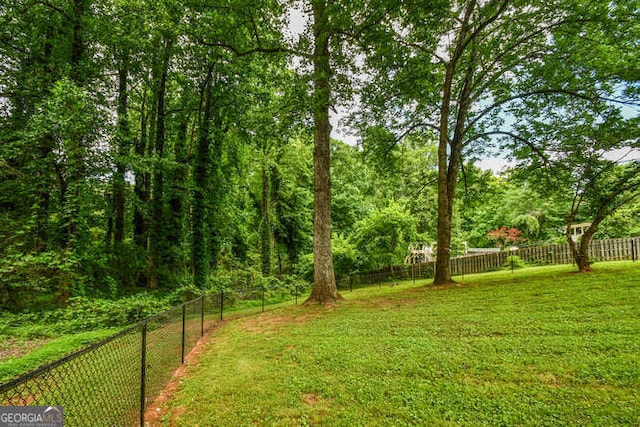 120 Chambers Ave, Cornelia, GA 30531 - view of yard
