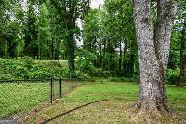 120 Chambers Ave, Cornelia, GA 30531 - view of yard