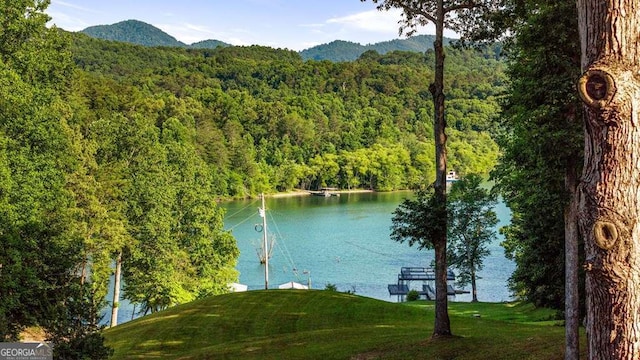 11 Collins Hollow Cv, Morganton, GA 30560 - water view featuring mountains