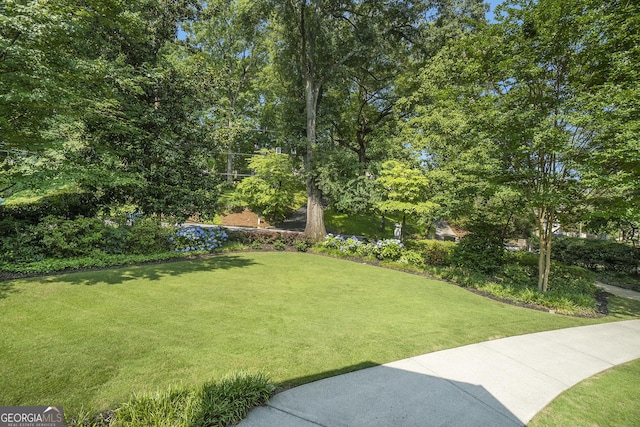 1821 N Rock Springs Rd NE, Atlanta, GA 30324 - view of grassy yard