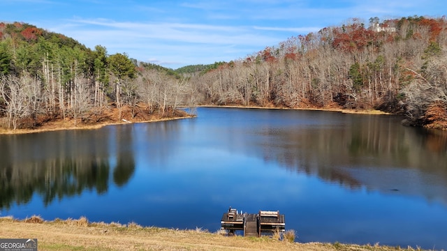 0 Meadowlands Dr, Talking Rock, GA 30175