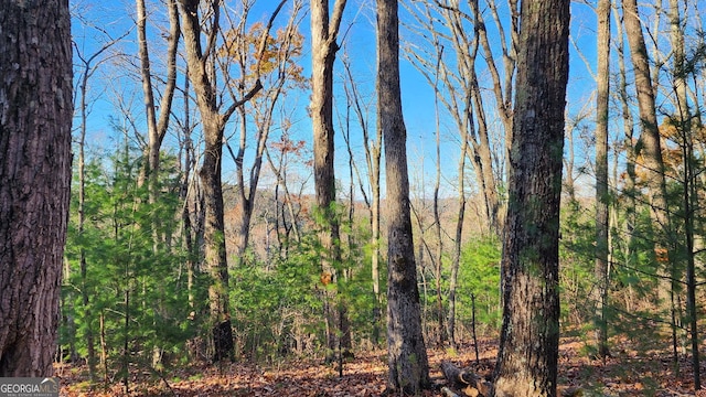 0 Meadowlands Dr, Talking Rock, GA 30175