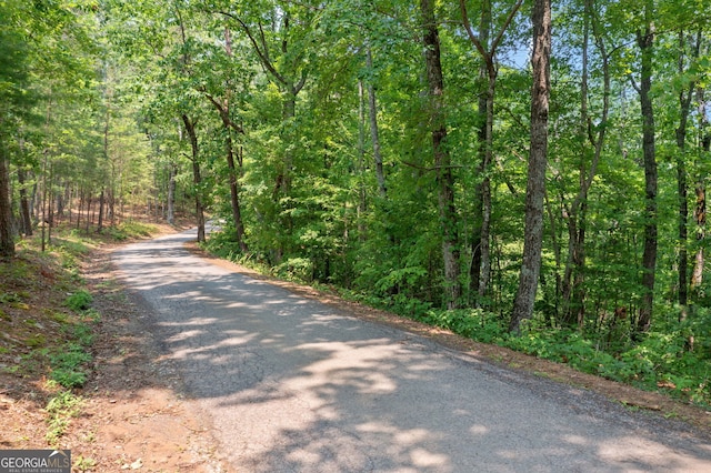 0 Meadowlands Dr, Talking Rock, GA 30175