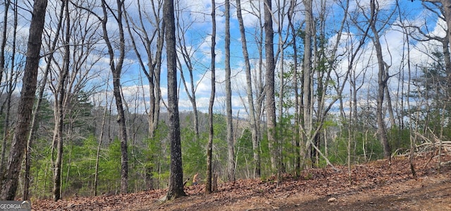 0 Meadowlands Dr, Talking Rock, GA 30175