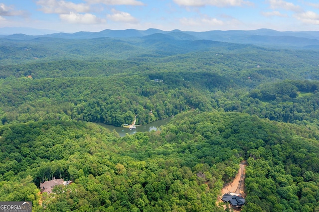 0 Meadowlands Dr, Talking Rock, GA 30175