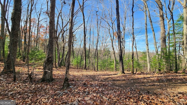 0 Meadowlands Dr, Talking Rock, GA 30175