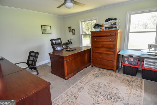 2048 Swint Rd, Griffin, GA 30224 - carpeted office space featuring ceiling fan, crown molding, and baseboards