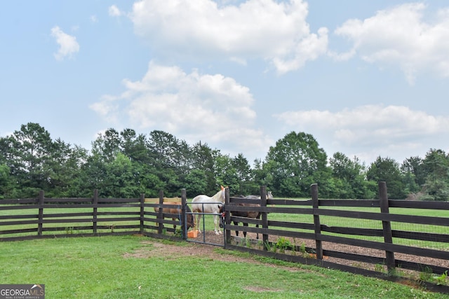 2048 Swint Rd, Griffin, GA 30224 - view of yard featuring a view of countryside