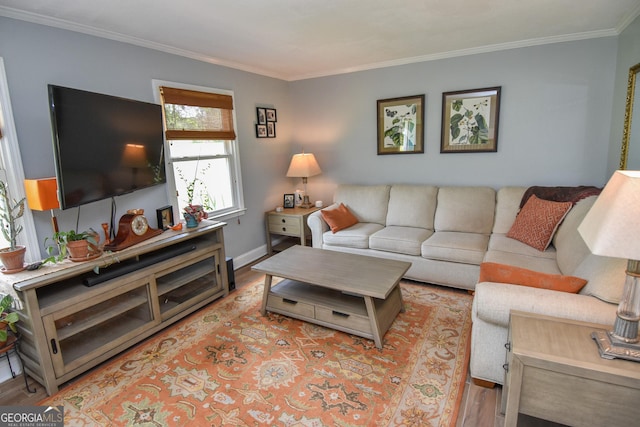 2048 Swint Rd, Griffin, GA 30224 - living room with ornamental molding, wood finished floors, and baseboards