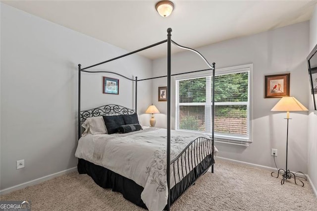 9065 Yellow Pine Ct, Gainesville, GA 30506 - bedroom with multiple windows and carpet floors