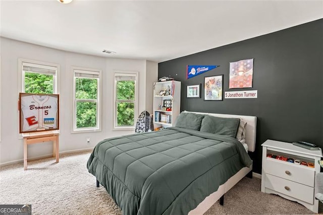 9065 Yellow Pine Ct, Gainesville, GA 30506 - carpeted bedroom with baseboards