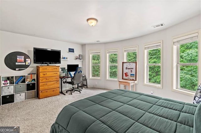9065 Yellow Pine Ct, Gainesville, GA 30506 - carpeted bedroom with multiple windows and an office area