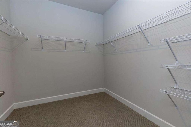740 Pineberry Ct, Grayson, GA 30017 - spacious closet featuring carpet floors