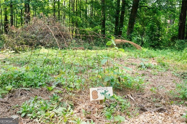 76 Beech Creek Cir, Winder, GA 30680 - view of nature