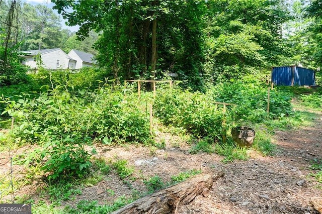 76 Beech Creek Cir, Winder, GA 30680 - view of yard with a garden